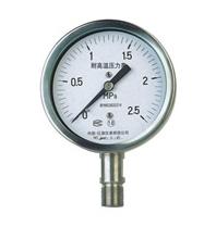 YTF、YTH耐腐耐高溫壓力表