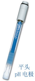 平頭pH電極