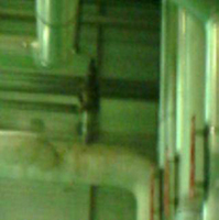 �F����Ҋ��D